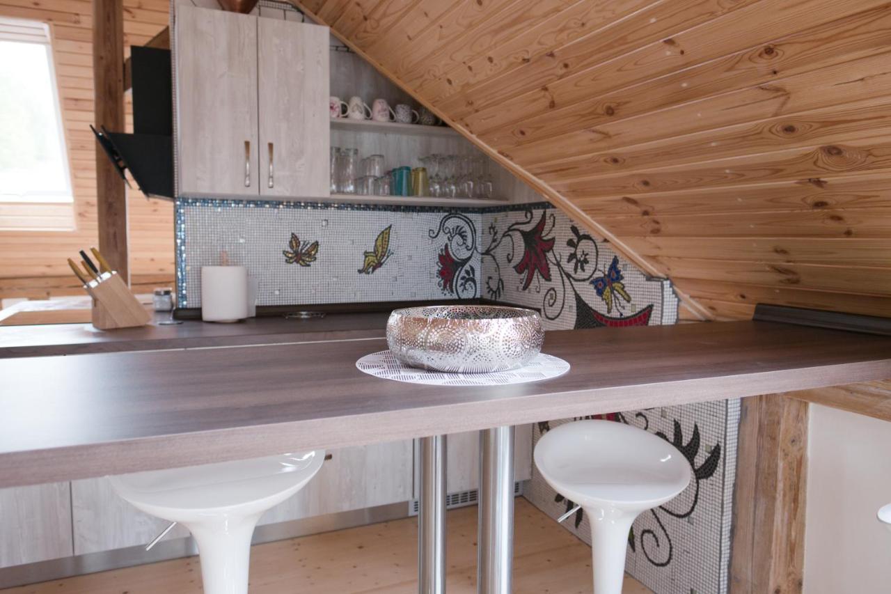Art-House 3 Attic Apartment With Terrace Decin Exterior photo